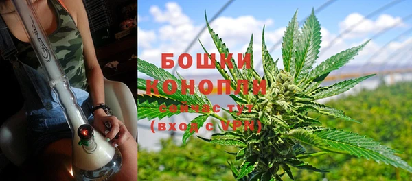 эйфоретик Шали