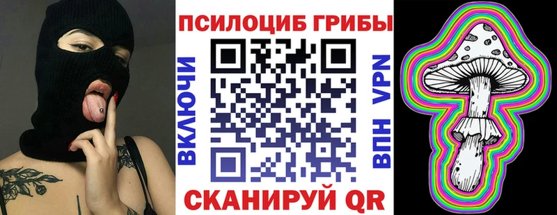 Галлюциногенные грибы Psilocybine cubensis Владикавказ