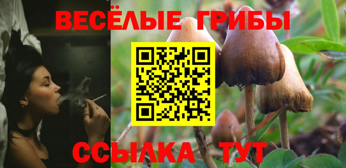 Галлюциногенные грибы Magic Shrooms Владикавказ