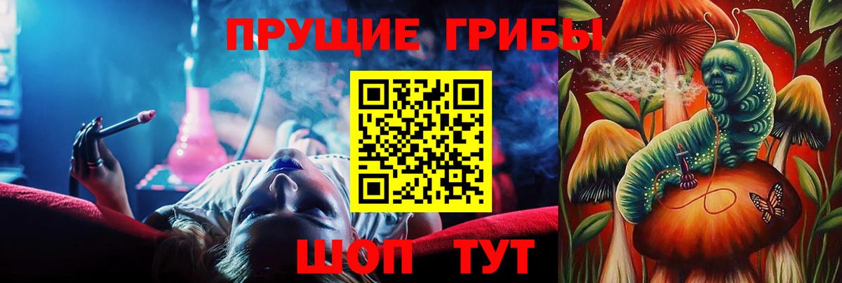 Галлюциногенные грибы Psilocybe  Вход с VPN  купить закладку  Владикавказ  Галлюциногенные грибы ЛСД 