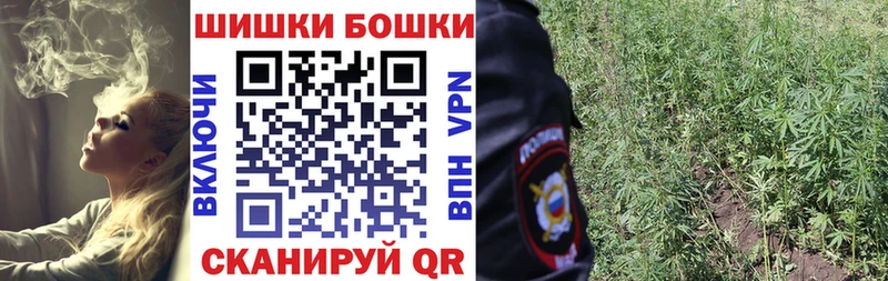 даркнет сайт  Владикавказ  Бошки Шишки сатива 