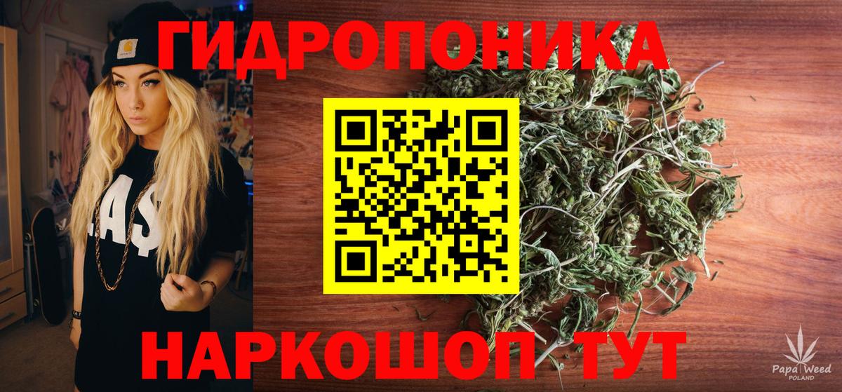 Каннабис ГИДРОПОН Владикавказ